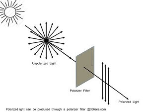 polarized-light-can-be-produced-through-polarizer-filter